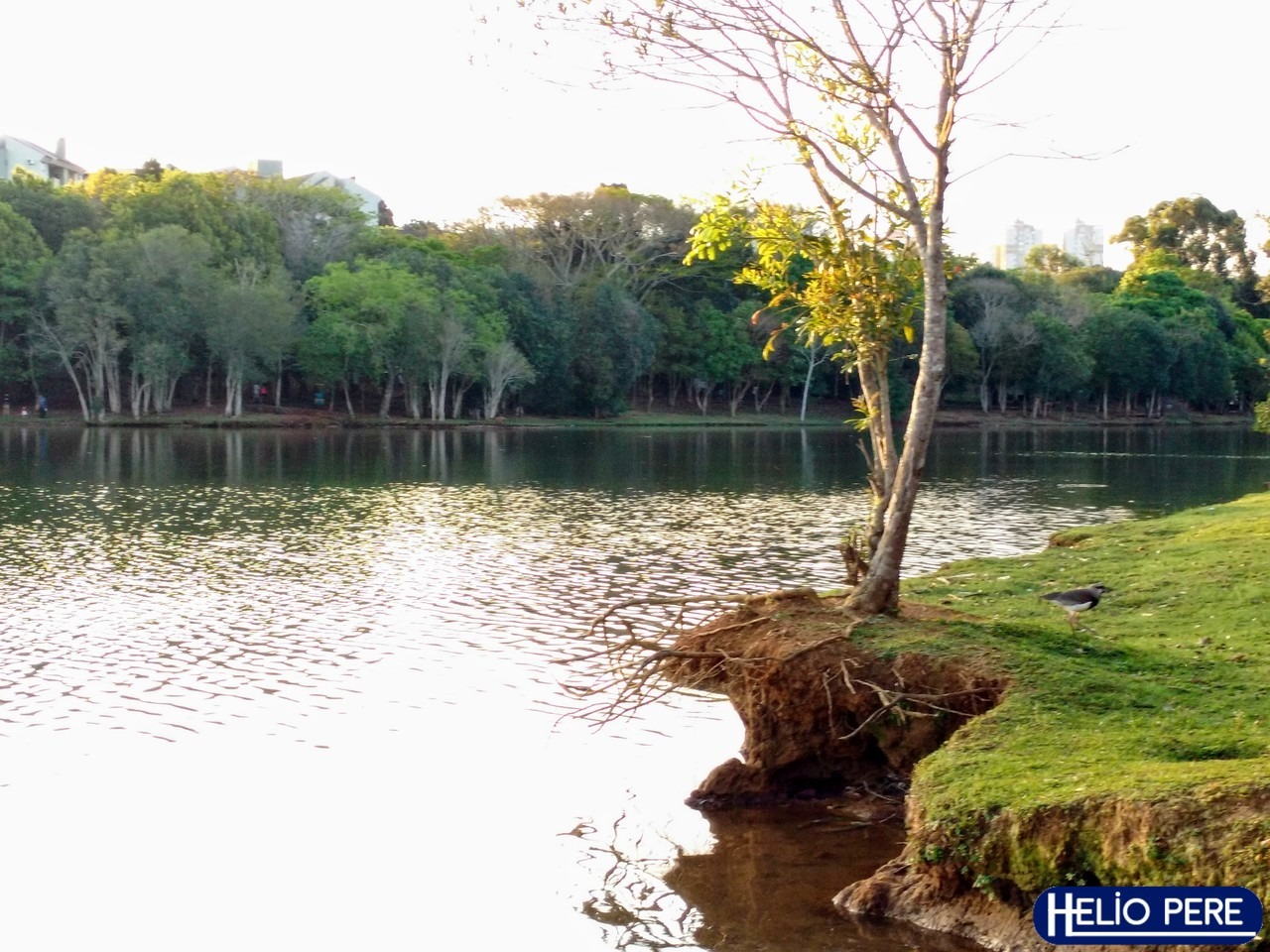 O Lago Municipal é um dos pontos turísticos mais bonitos de Cascavel