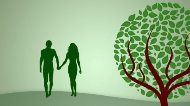 Bíblia | Onde Caim encontrou uma esposa?