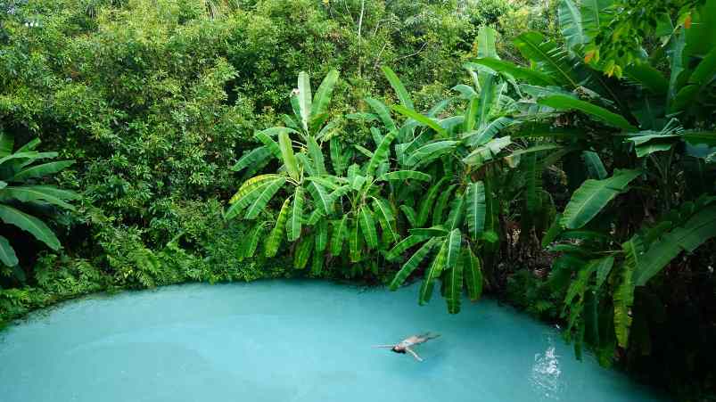 Descobrindo o Jalapão: Natureza e Aventura