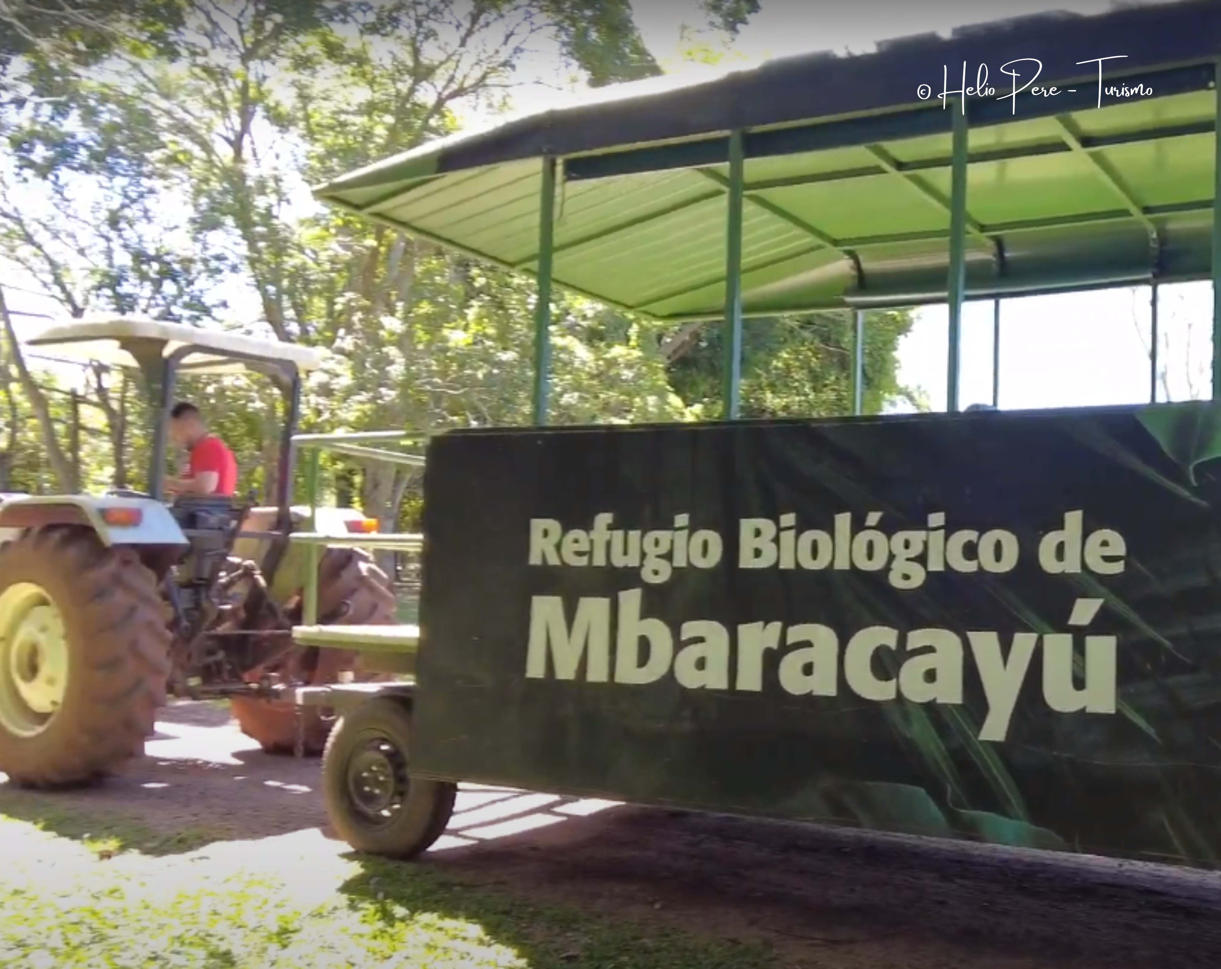 Explorando o Santuário da Vida Selvagem: Refúgio Biológico de Mbaracayú
