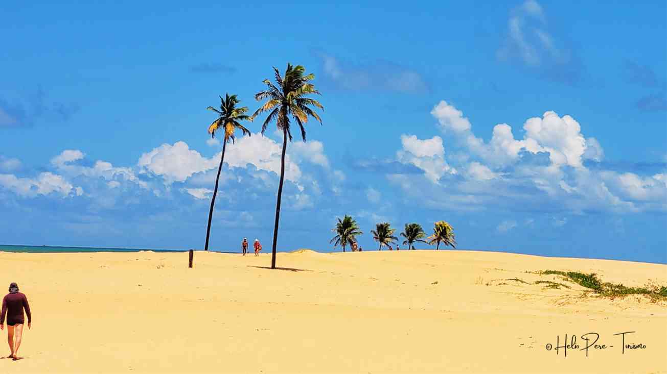 Um Passeio Romântico pela Foz do São Francisco