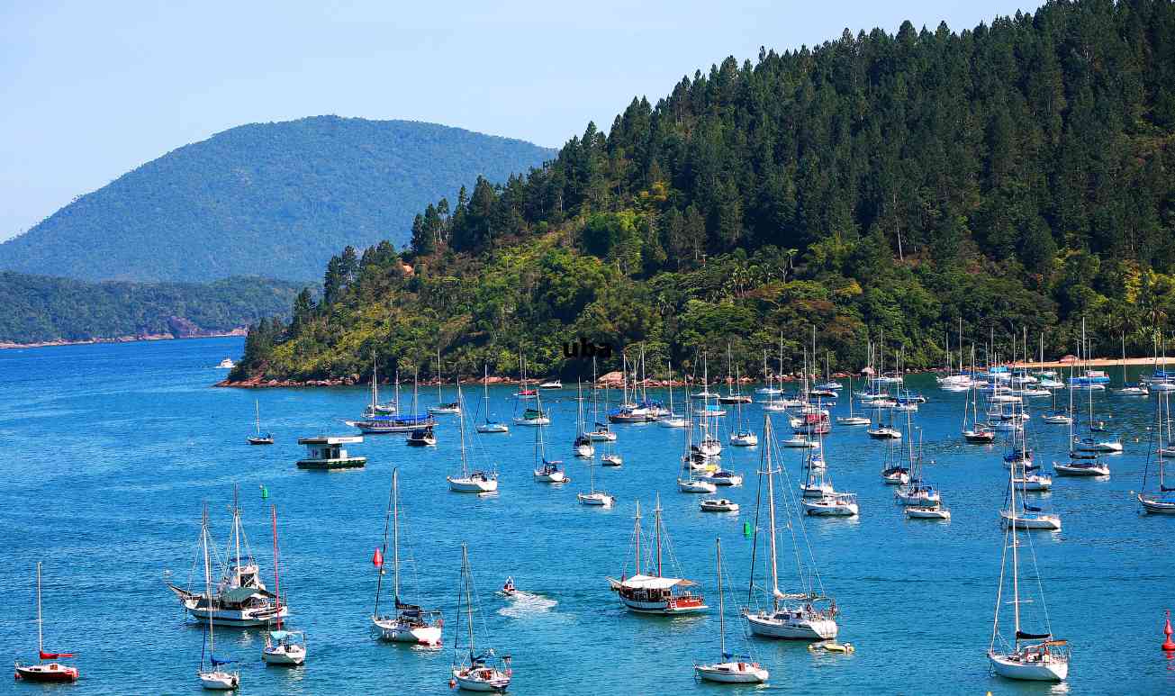 Explore Ubatuba: Da Praia à Cachoeira, Tudo o Que Você Precisa Saber