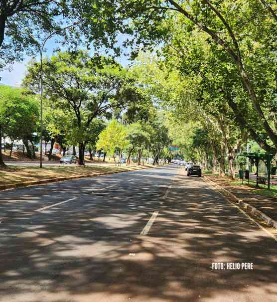 Túnel de Árvores em Foz do Iguaçu