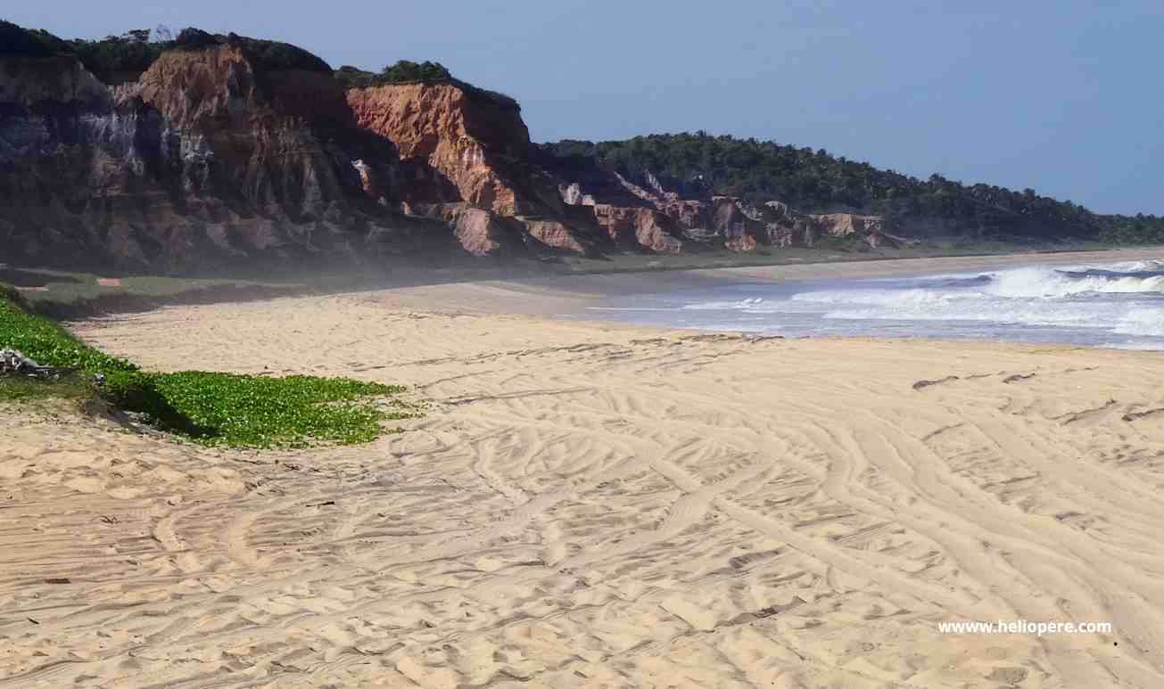 Encantos de Alagoas: Um Dia nas Falésias do Gunga