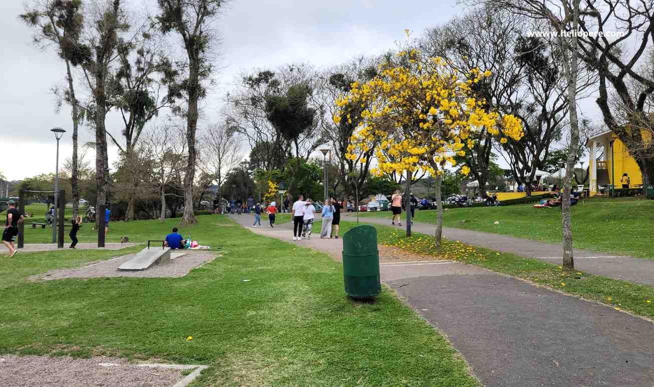 Parque Tingui: História, Natureza e Cultura em Curitiba