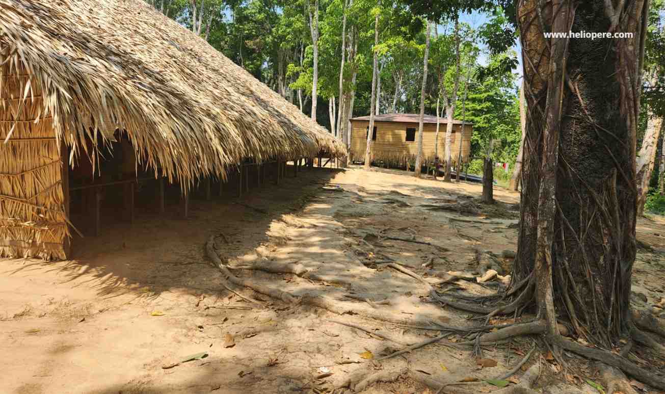 Manaus, Dia 2: Mergulhando na Amazônia com Botos e Tribos