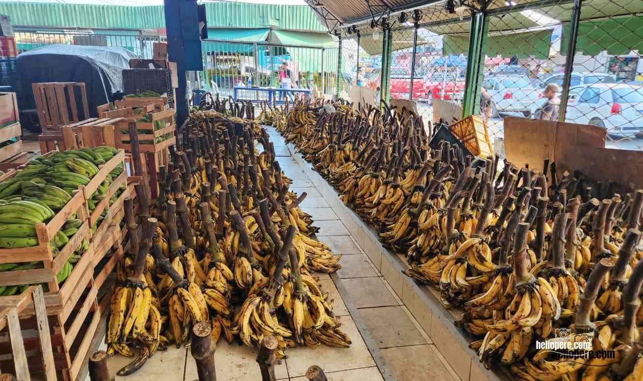 Feira da Banana: Tradição no Centro de Manaus